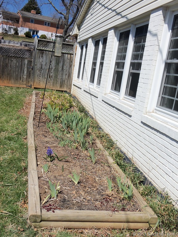 [Gardening%2520020%255B7%255D.jpg]