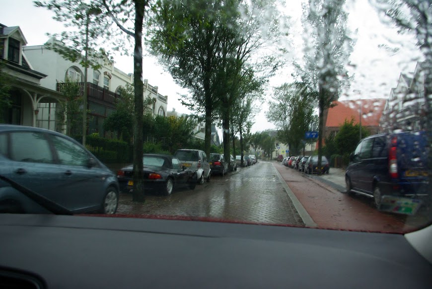 IMGP7378.JPG