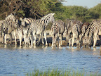 Etosha Nationalpark