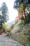DSC00318.JPG