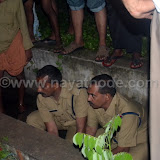 crocodile at nayathode 14.JPG
