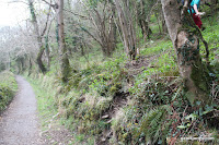 IMG_6006.JPG Photo