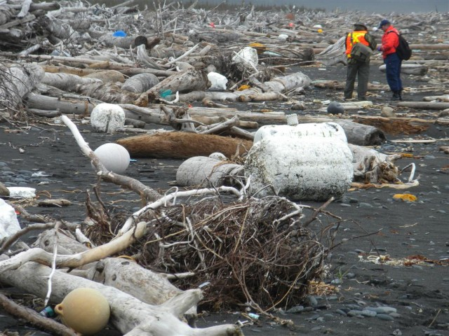 Debris from the Great Tōhoku earthquake and tsunami wash ashore in Alaska. About 50 continuous miles of Montague Island coast look like this, 28 April 2012. Gulf of Alaska Keeper / Chris Pallister