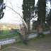 Jardí de Can Pitarra