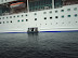 Ship Photos