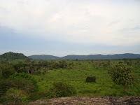 DSC05411.JPG