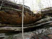 DSCN1732.JPG
