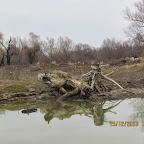 IMG_1525.JPG