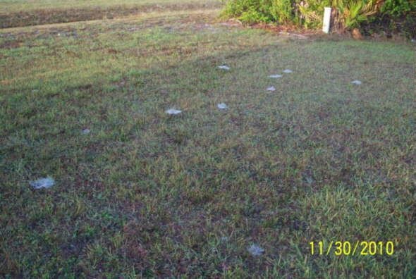 [cabelo_de_anjo_2%255B4%255D.jpg]