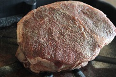IMG_2495 IMG_2495