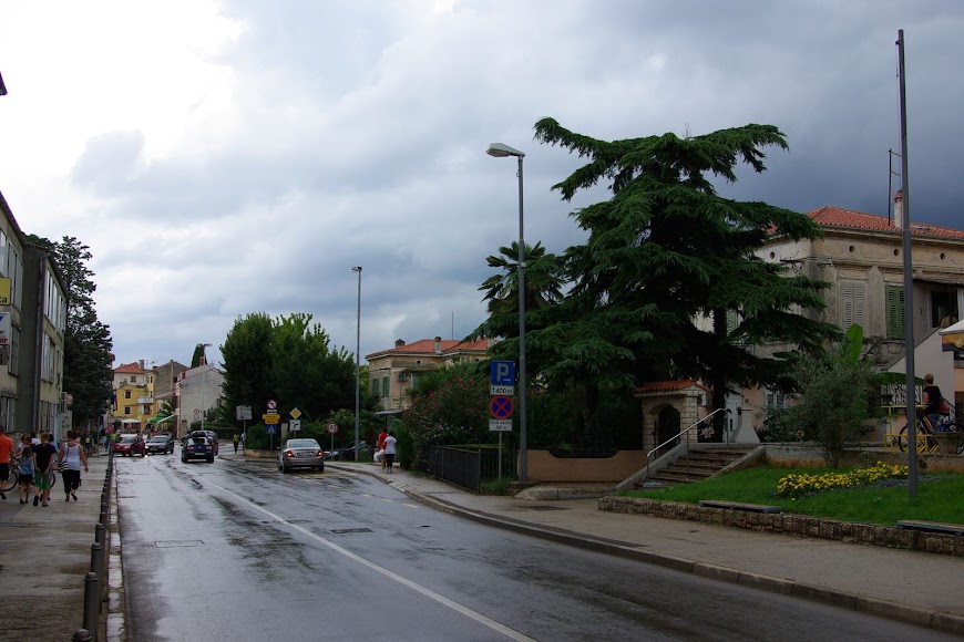 IMGP4348.JPG