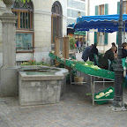 DSC01041.JPG