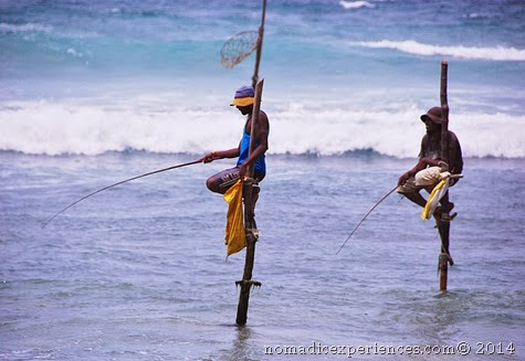 Stilt fishing2 Stilt fishing2