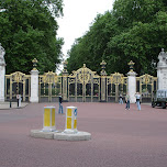 in front of buckingham palace - where is the queen? in London, United Kingdom 