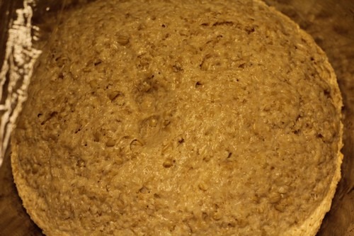 sprouted-kamut-bread-no-flour018