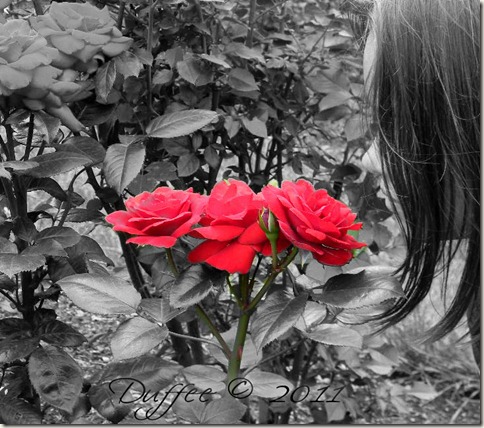 Day #61 Smell the Roses