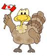 Canadian turkey
