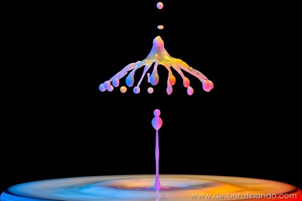 liquid-drop-art-gotas-caindo-foto-velocidade-hora-certa-desbaratinando (221)