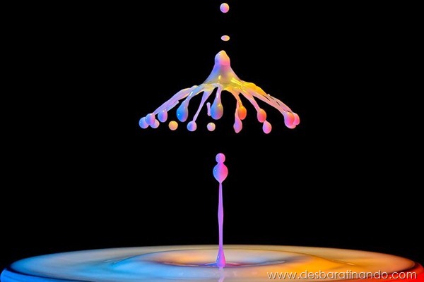 liquid-drop-art-gotas-caindo-foto-velocidade-hora-certa-desbaratinando (221) liquid-drop-art-gotas-caindo-foto-velocidade-hora-certa-desbaratinando (221)