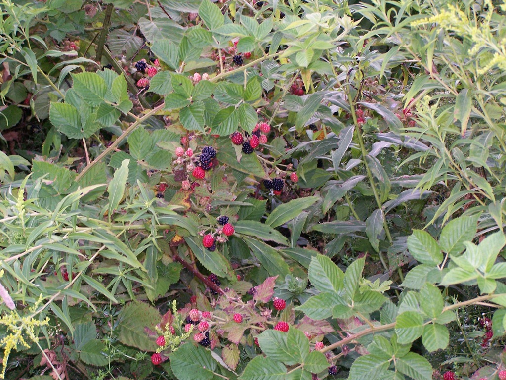 [100_2682%255B4%255D.jpg]