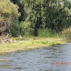 DSCN8193.JPG
