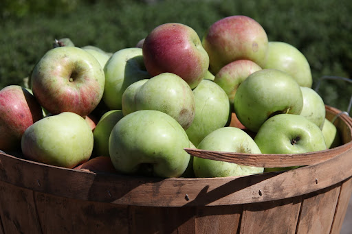These apples look perfectly ripe and delicious.