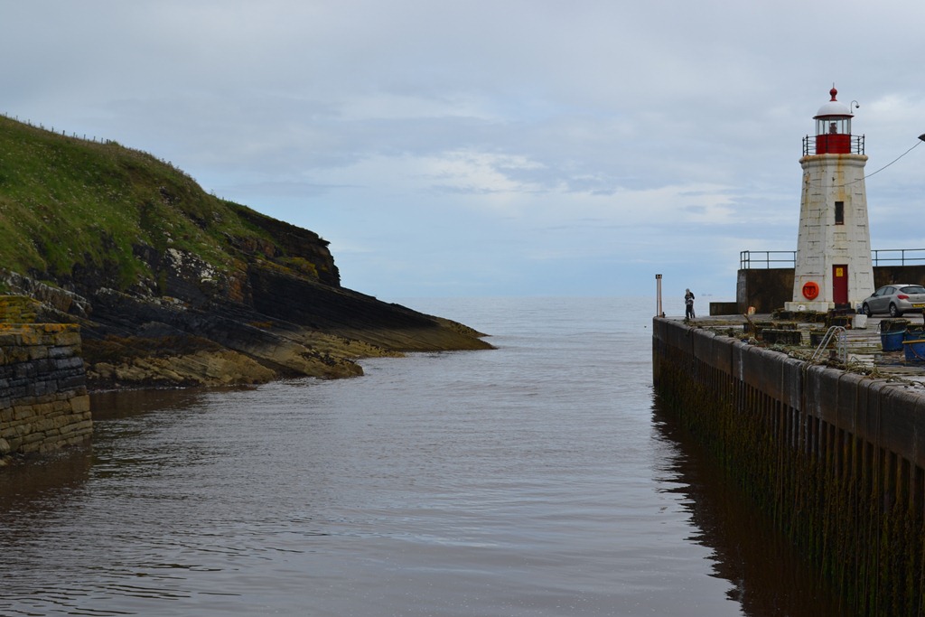 [DSC_05085.jpg]