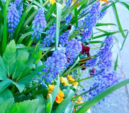 DSCN0355.jpg DSCN0355