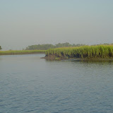 Tidal Creek.jpg
