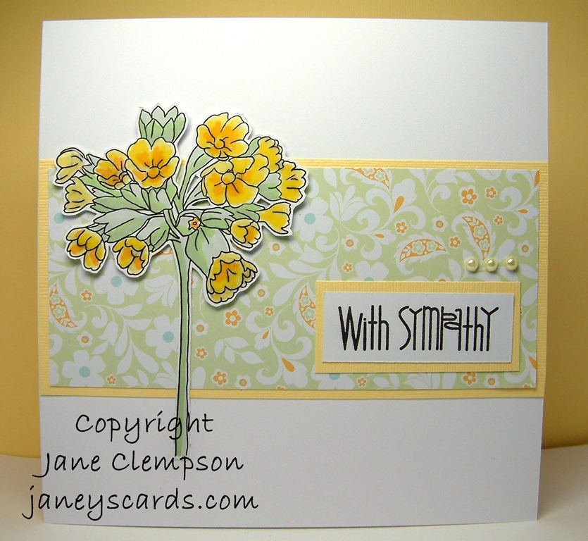 [Cowslip%255B3%255D.jpg]