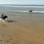 2011-10-16_12.27.37.jpg