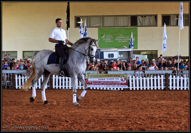 il/Фото: Stallion Show 2011 (20110416 stllion show 041 2120)