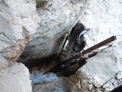 DSCN3975.jpg