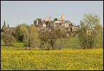 Petrella Guidi