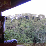 Vista de nosso alojamento para a floresta - Golfito - Costa Rica