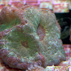 DSC_2113.jpg