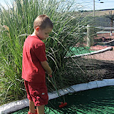 IMG_0328.jpg