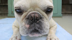 I bet you're capturing all of my wrinkles and folds.