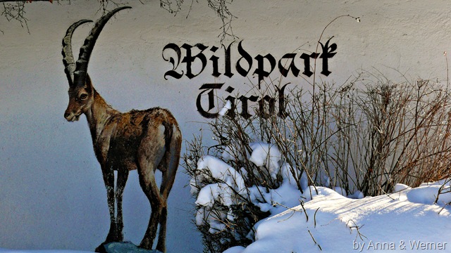 [2012_01_15%2520Wildpark%2520Aurach1%255B3%255D.jpg]