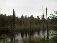 100_0338.JPG