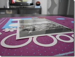 DSCN0879 r