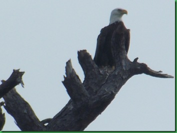 Hunting Island with Nancy & Bill (54)