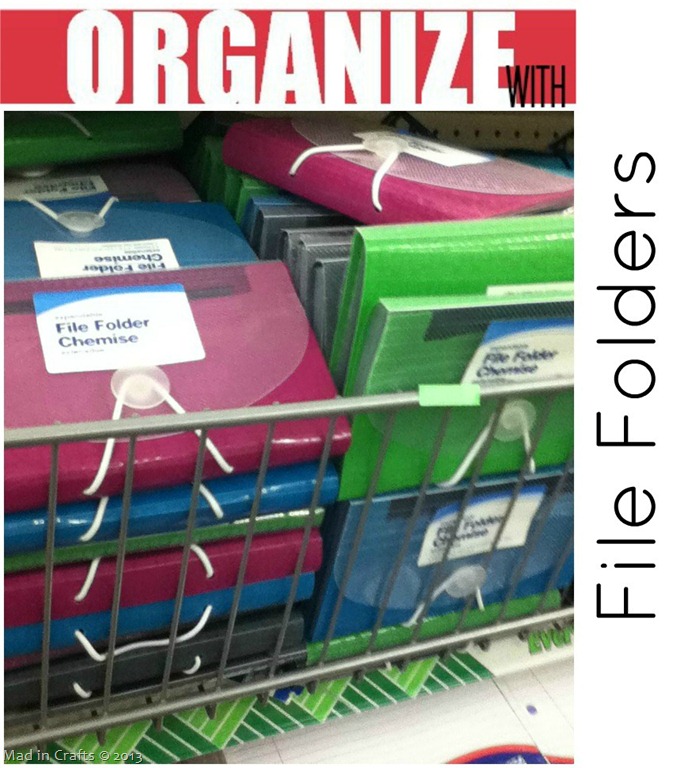 [Dollar-Store-File-Organizer.jpg]