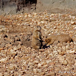 IMG_4501.jpg
