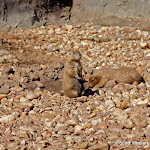 IMG_4501.jpg