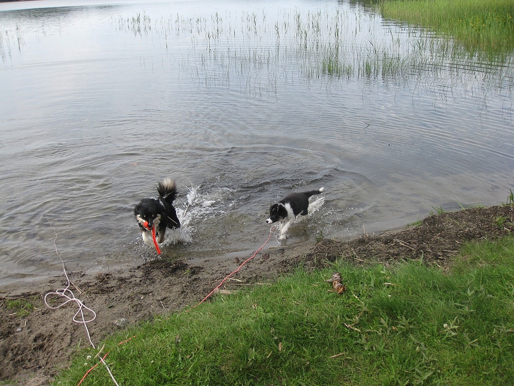 [Tunevannet%2520og%2520Gamlegbyen_280611_0194%255B4%255D.jpg]
