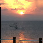 DSCN1970.jpg