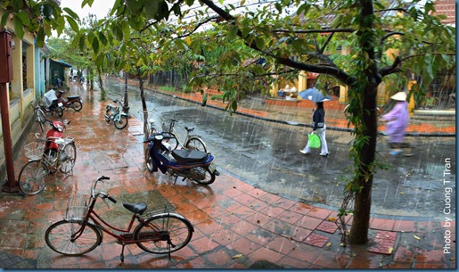 pho co hoi an 15 pho co hoi an 15
