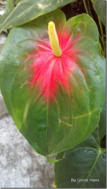 2012-03-04_11-03-24_210 2012-03-04_11-03-24_210