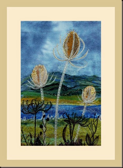 teasels 001
